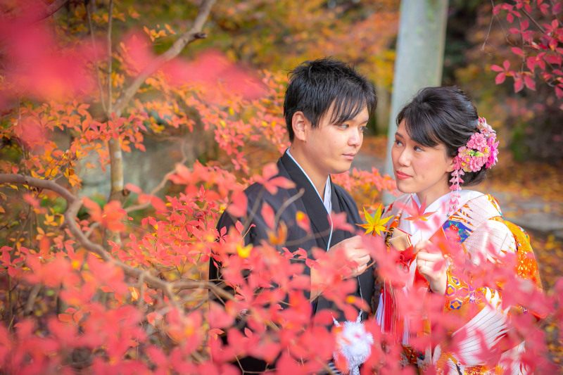 赤に囲まれて。