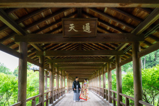 夏の東福寺