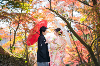 落ち葉いっぱい