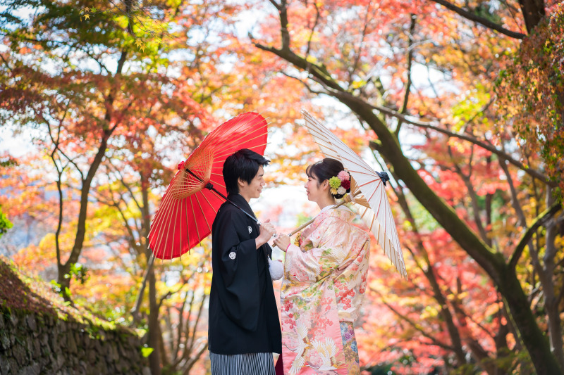 落ち葉いっぱい