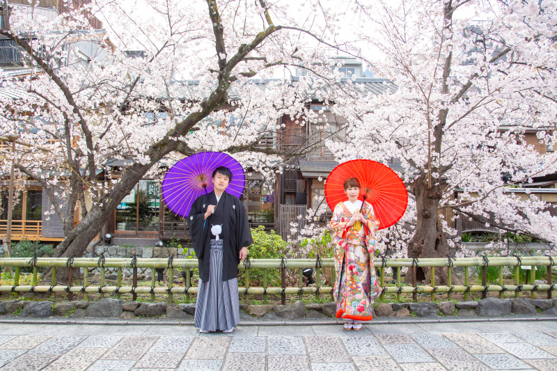 満開の桜の下で仲良く並んで。