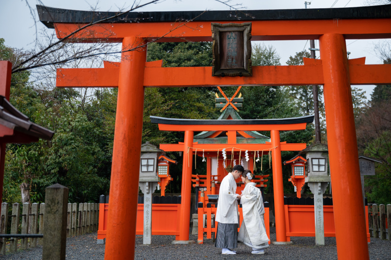 綺麗な鳥居の朱赤
