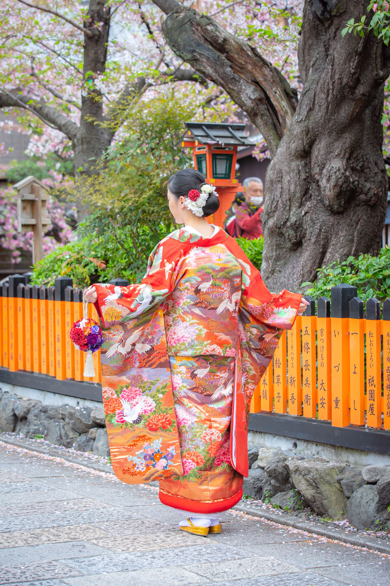 舞い散る桜』(撮影日：2021年4月4日/祇園)｜古都photoの撮影