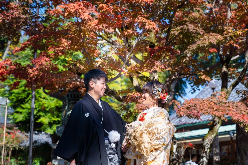 夏の暑さを忘れて