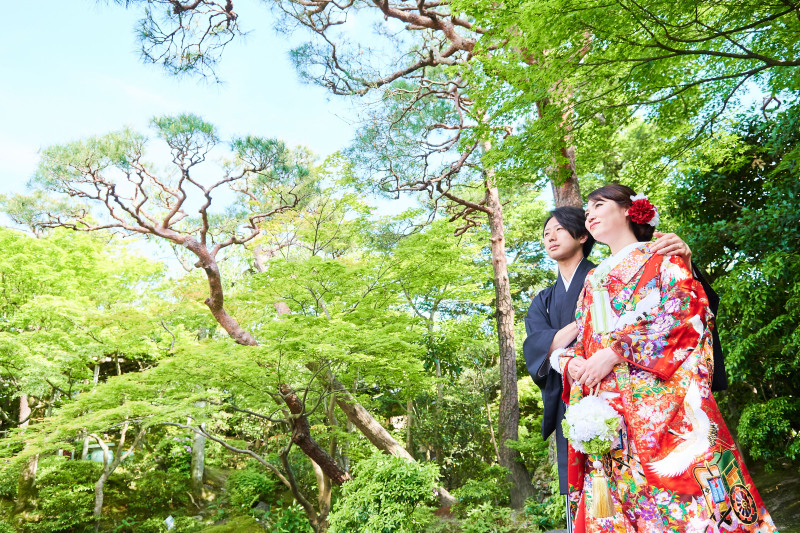 グリーンの世界