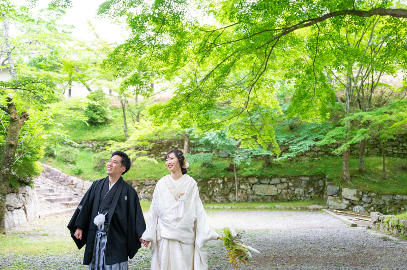 うわ～すごい緑