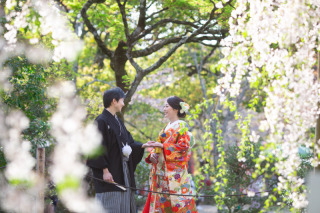 枝垂れ桜の名所円山公園