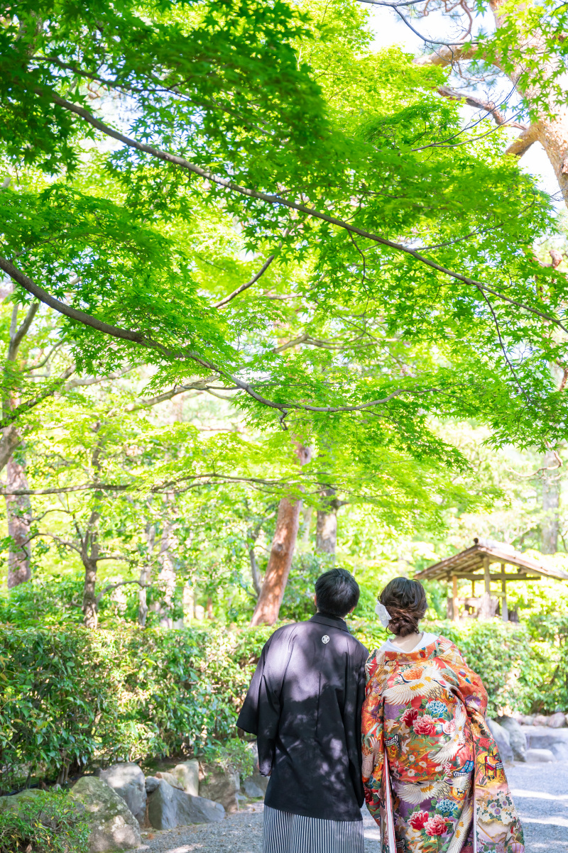 緑一杯も良い！