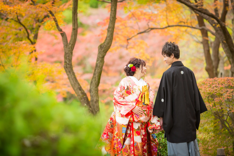 紅葉している公園