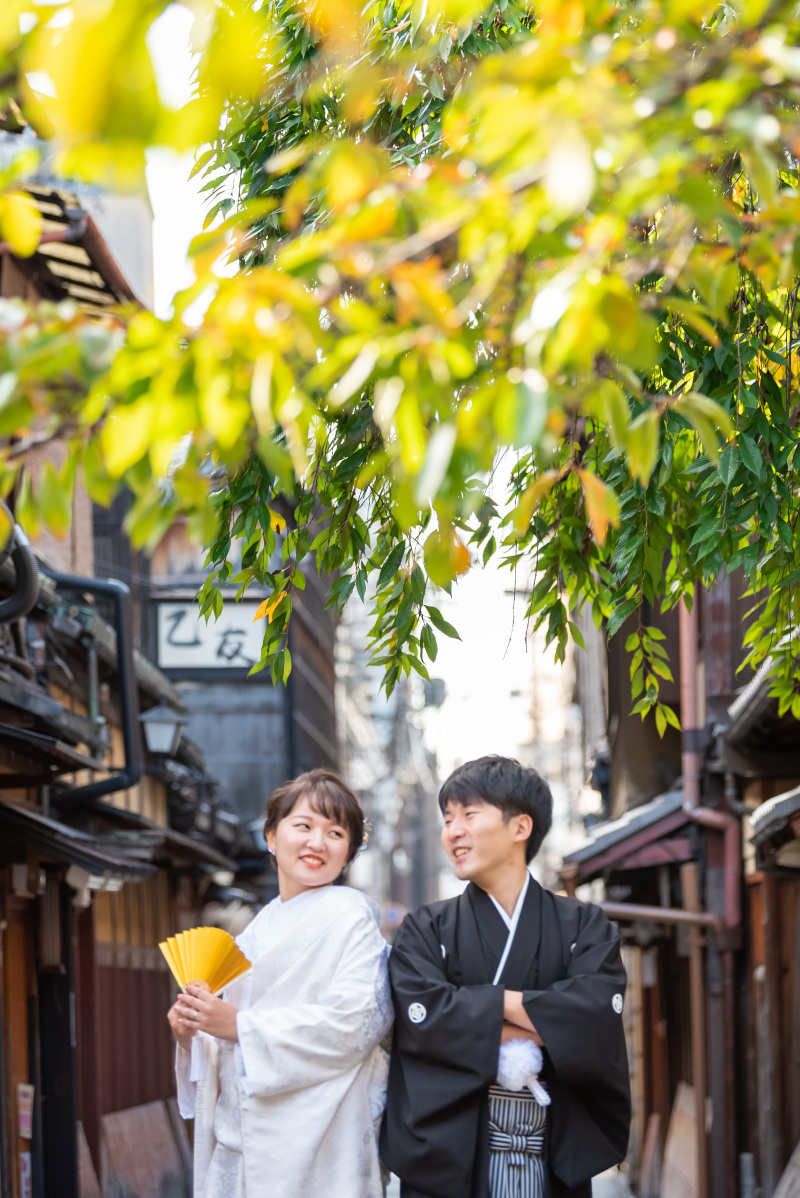 桜の葉がきらり