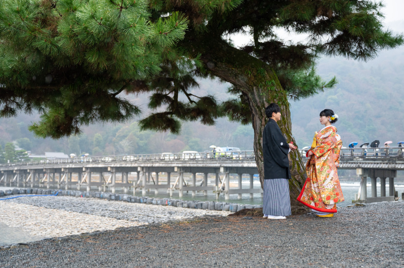 松の大木と渡月橋