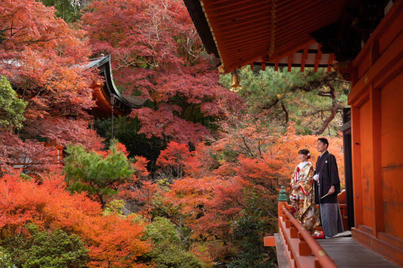 京都の美しい景色と共に