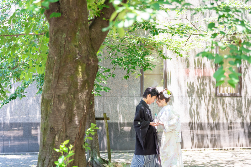 大きな桜の木と