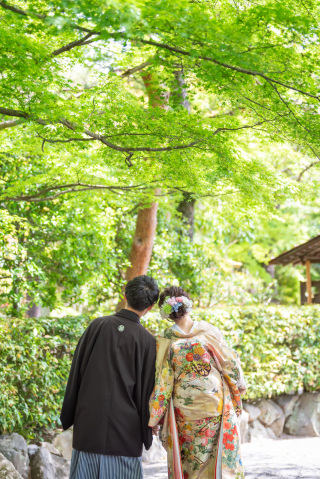 違う場所、違う緑