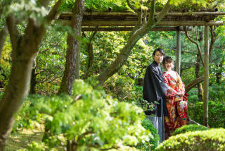 グリーンの世界