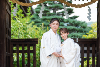 緑でいっぱい梅宮大社と美しい竹林