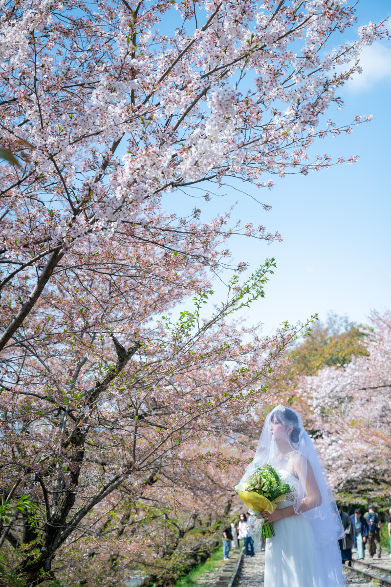 ベールを通して