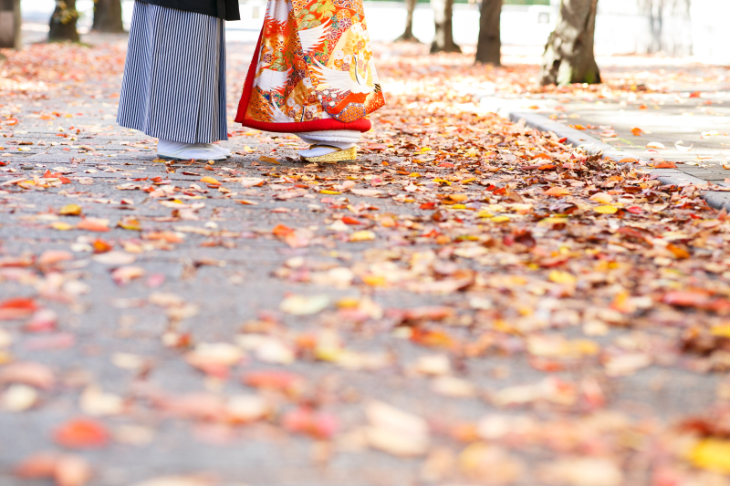 落ち葉