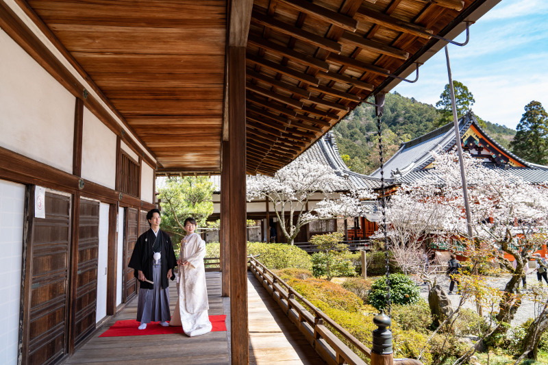 遠景に桜を入れた裾引きポーズ