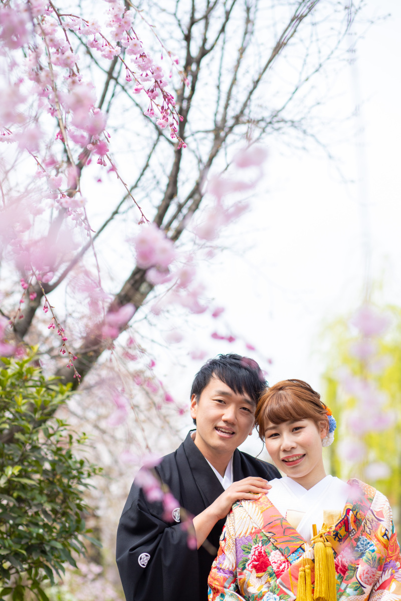 枝垂れ桜の濃いピンクが丸く可愛い