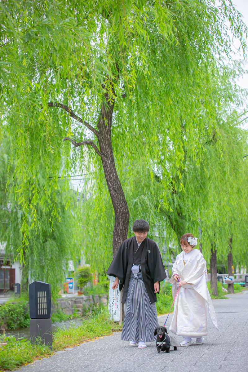 ワンちゃんと一緒に