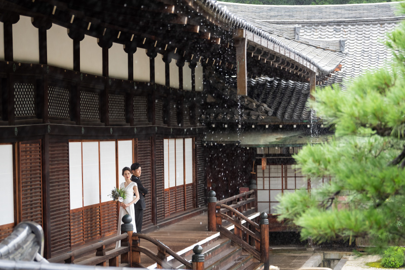 けっこうな雨降り