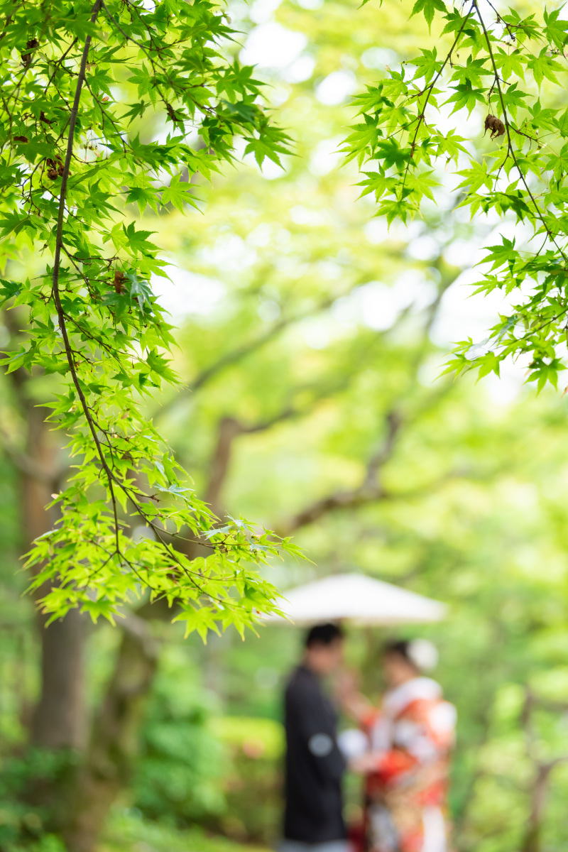 紅葉にぼかして