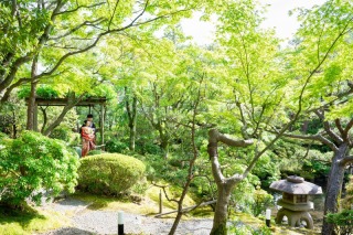 緑がいっぱい(⋈◍＞◡＜◍)。✧♡