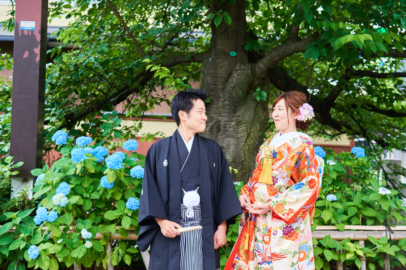 紫陽花と一緒に