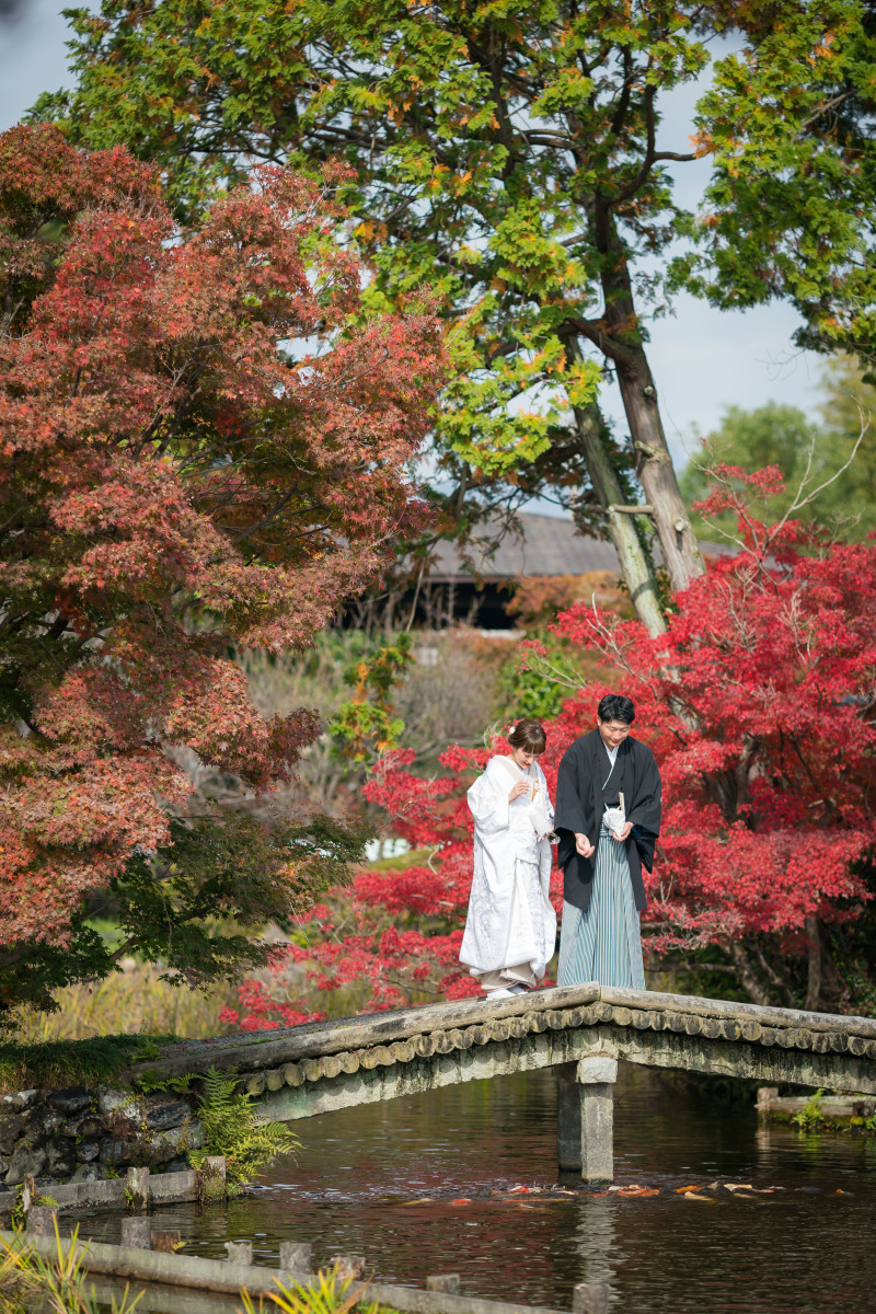 池の鯉に餌やり