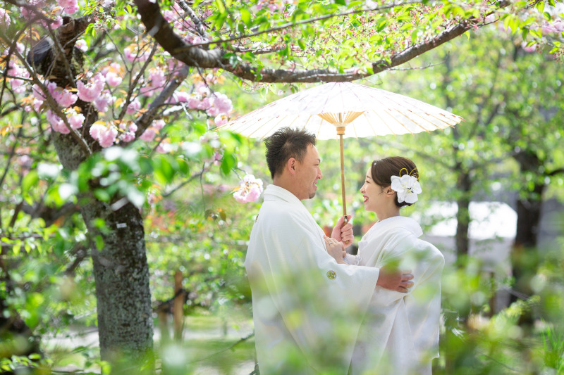 白傘に映える八重桜