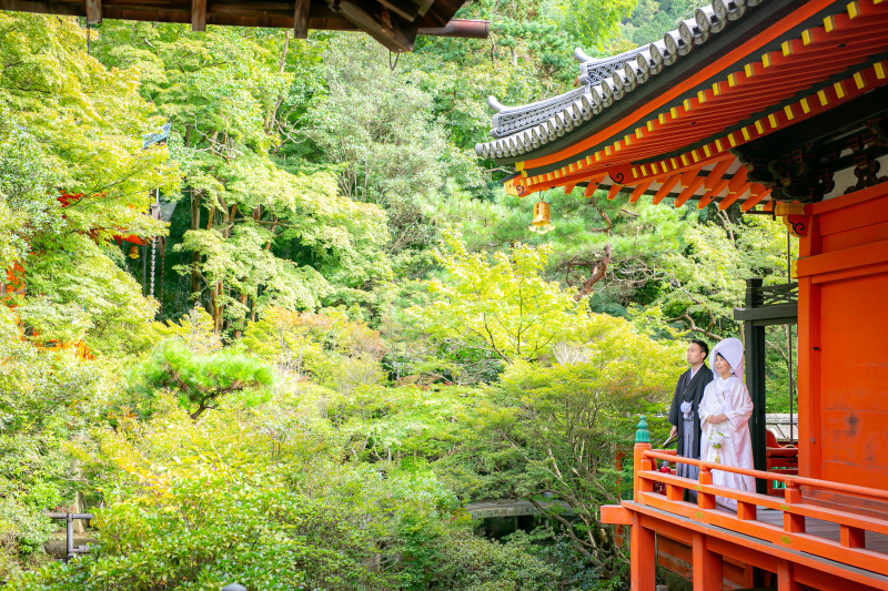 素晴らしい景色