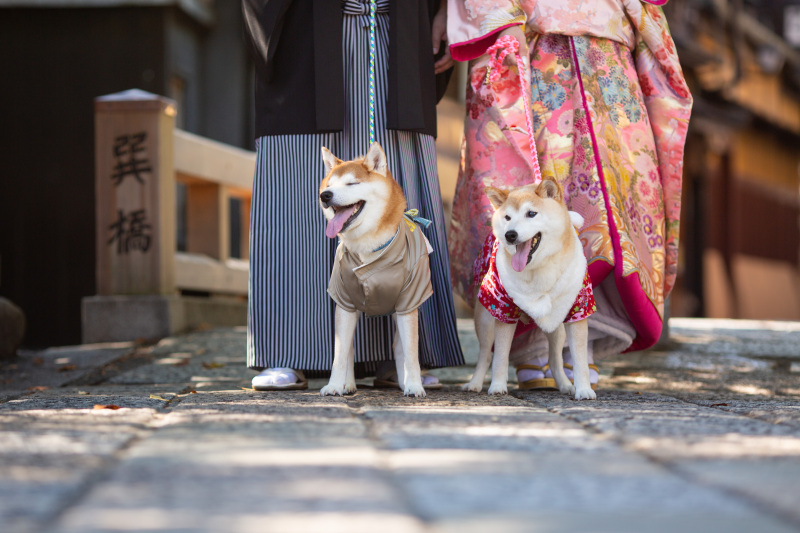 お二人とワンチャン