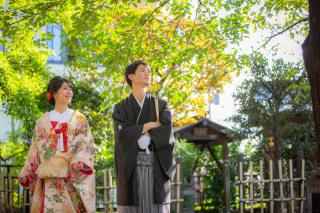 木漏れ日が差して