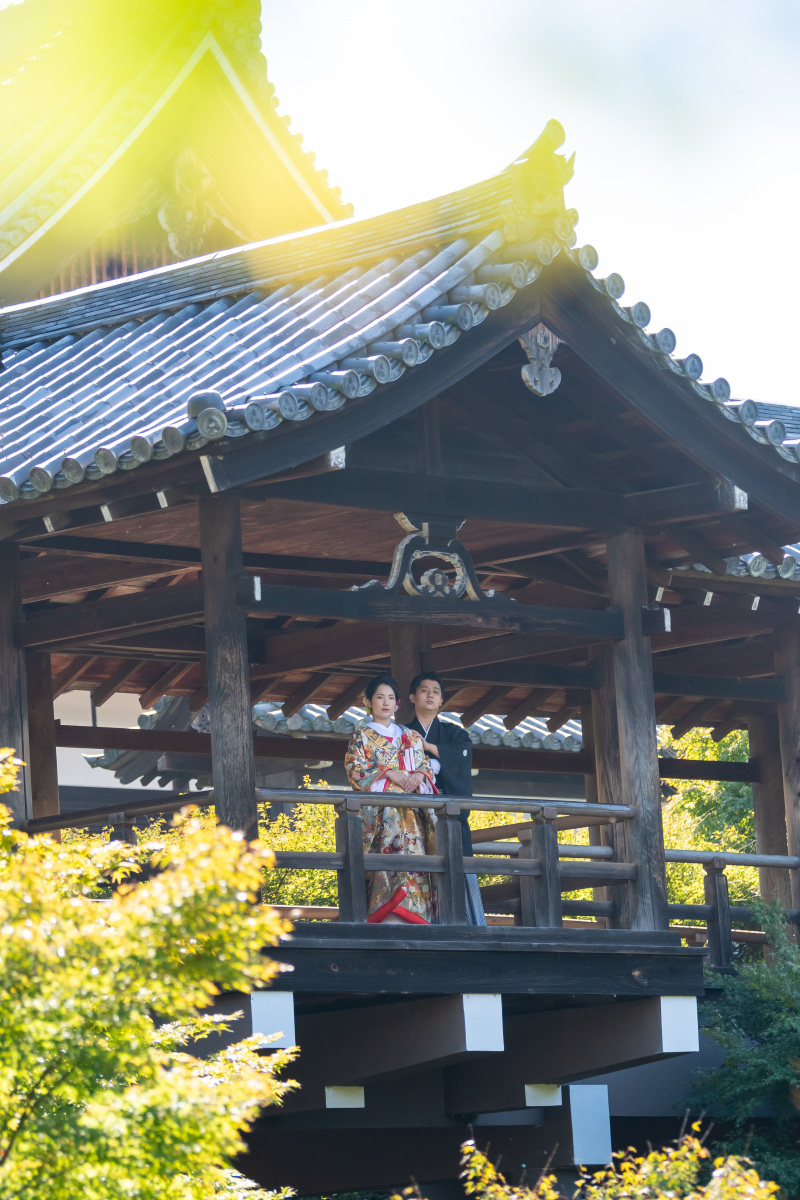 少し黄色く色づいたイチョウの葉と一緒にしっとり