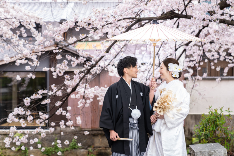 可愛い柳の芽吹きと満開の桜