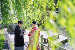 新緑の東山白川で