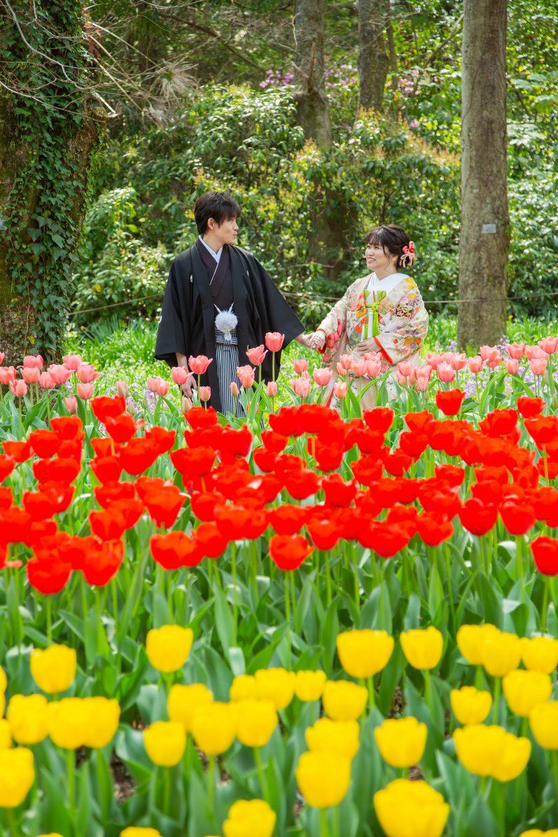 チューリップ畑で仲良くお散歩