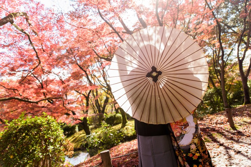 傘越しのシルエット