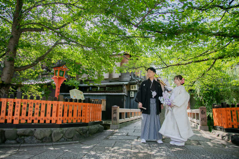 新緑の季節、祇園を歩く：自然と文化が織りなす京都の夏景色