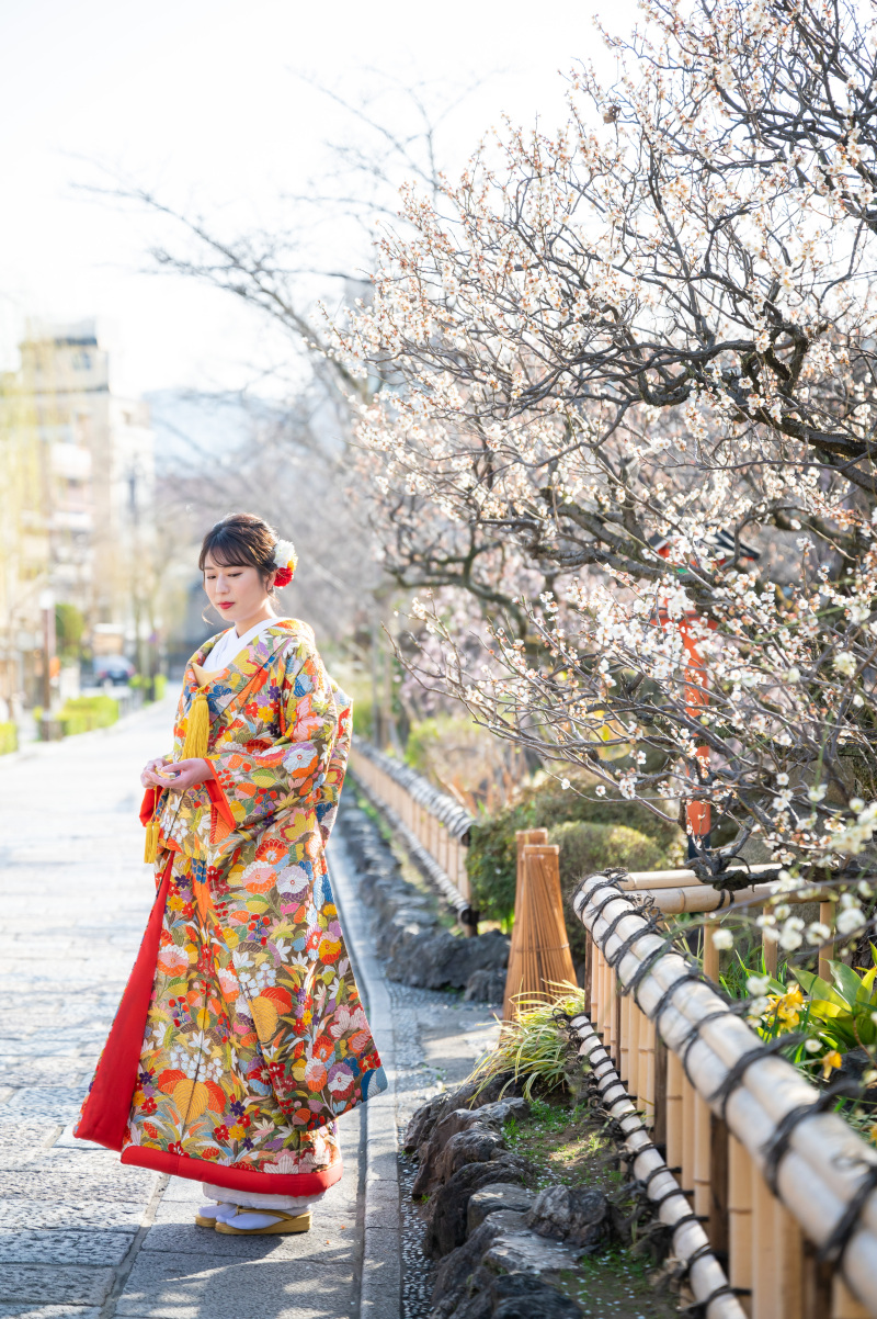 引き立つカラフルな色打掛