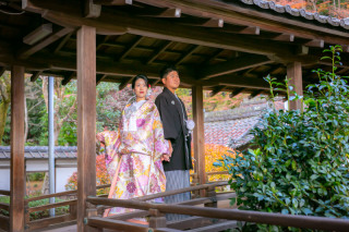 新作のお衣装で！