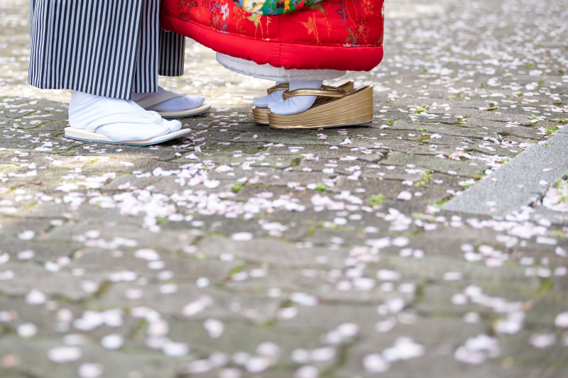 はなびらの絨毯。