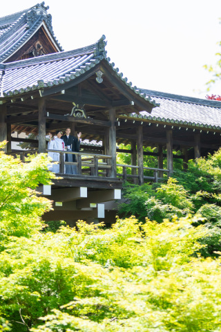 初夏の東福寺♪