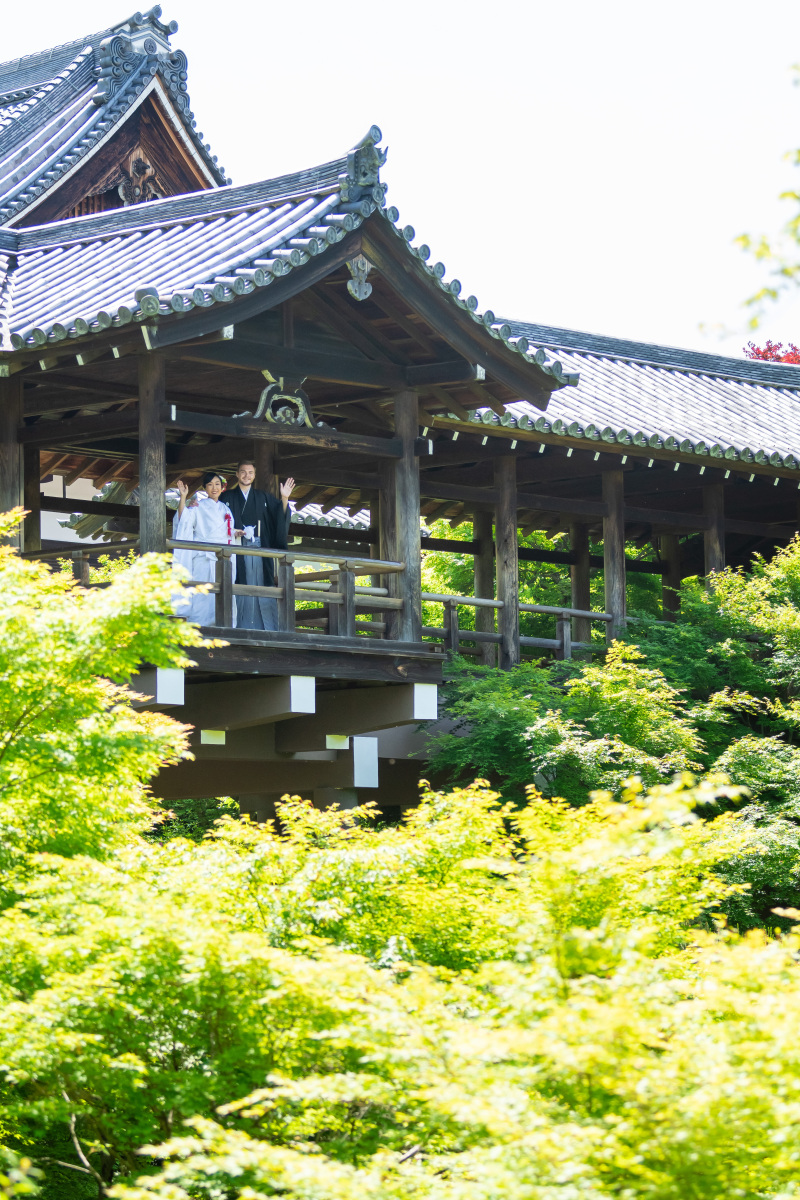初夏の東福寺♪