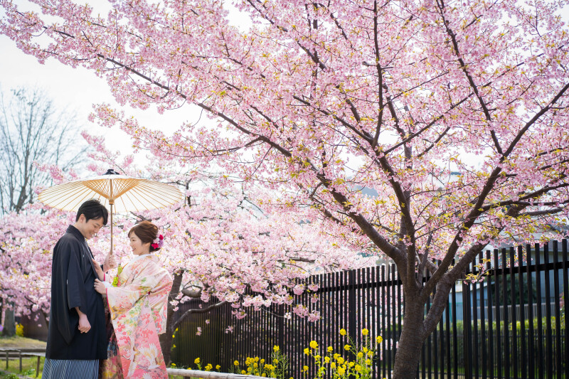河津桜で春を先取り
