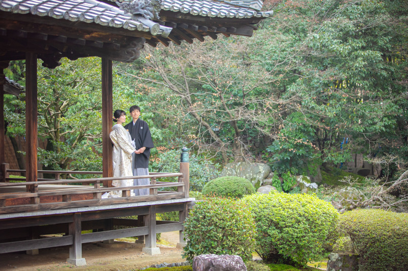 引きのお写真⭐︎