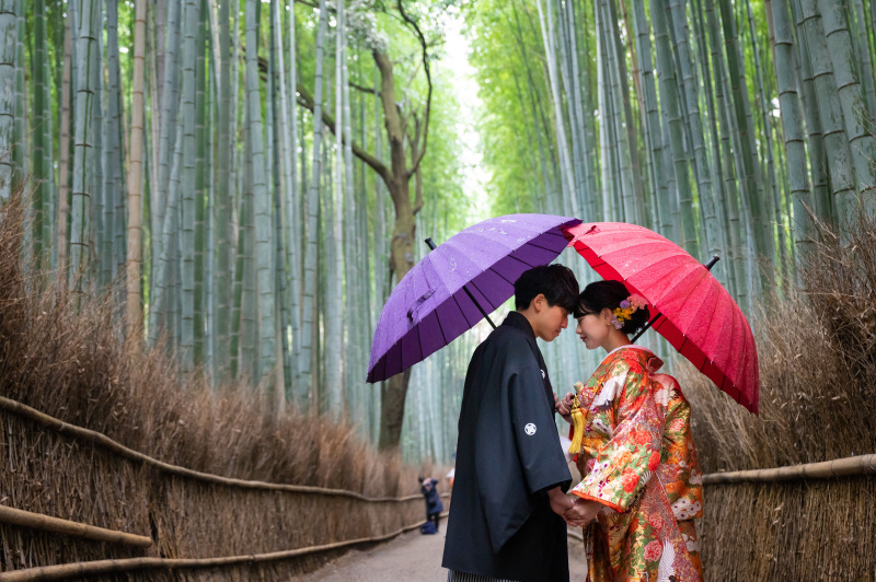 青竹に映える傘の色