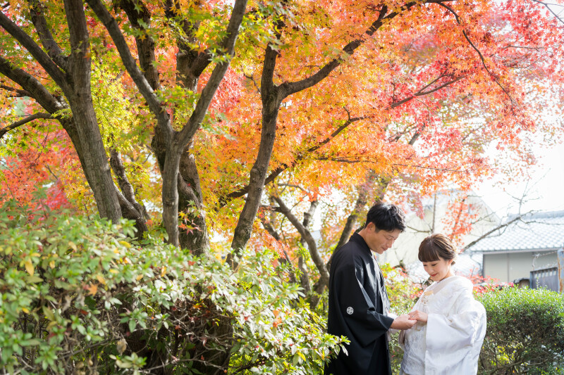 大きな紅葉の木の下で