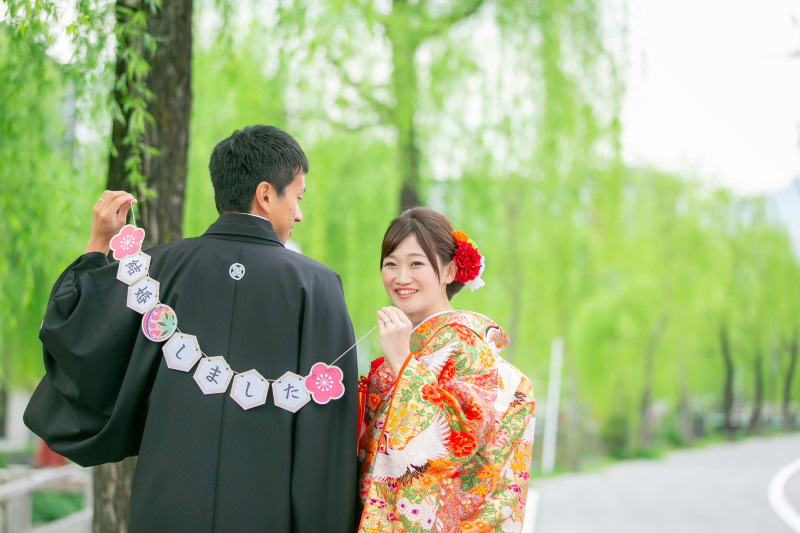 柳並木をバックに